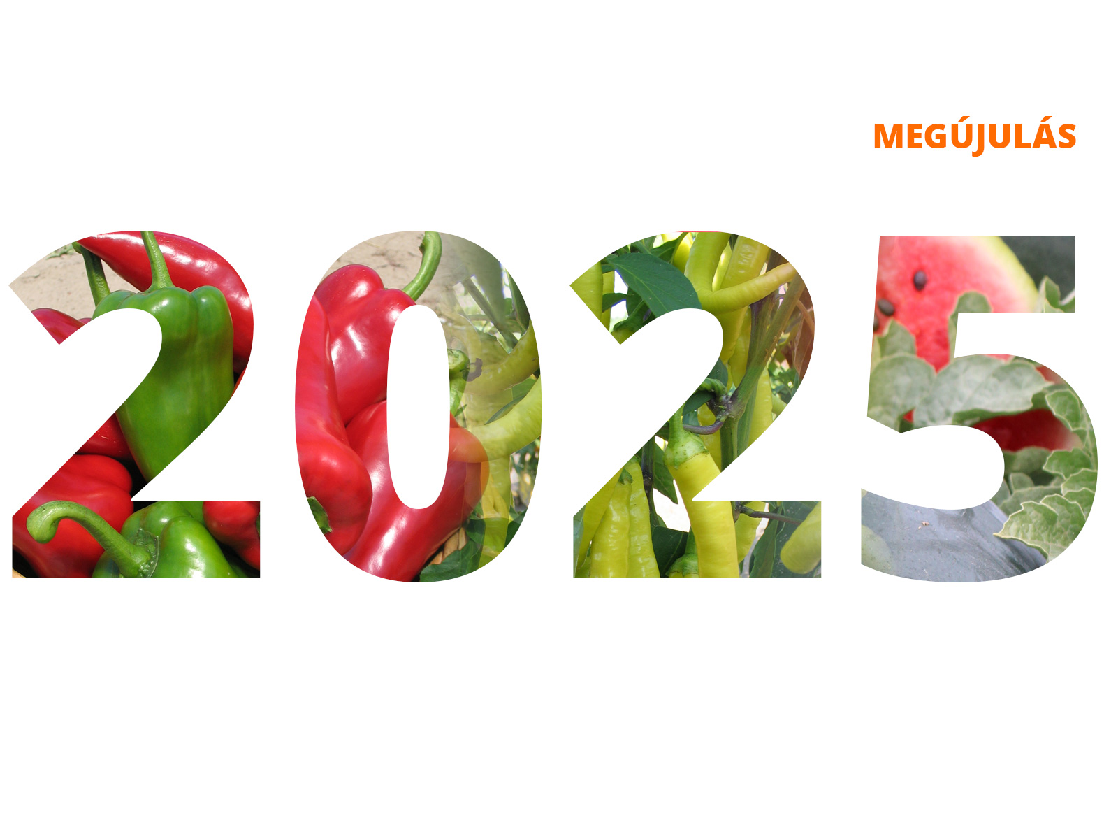 2025
